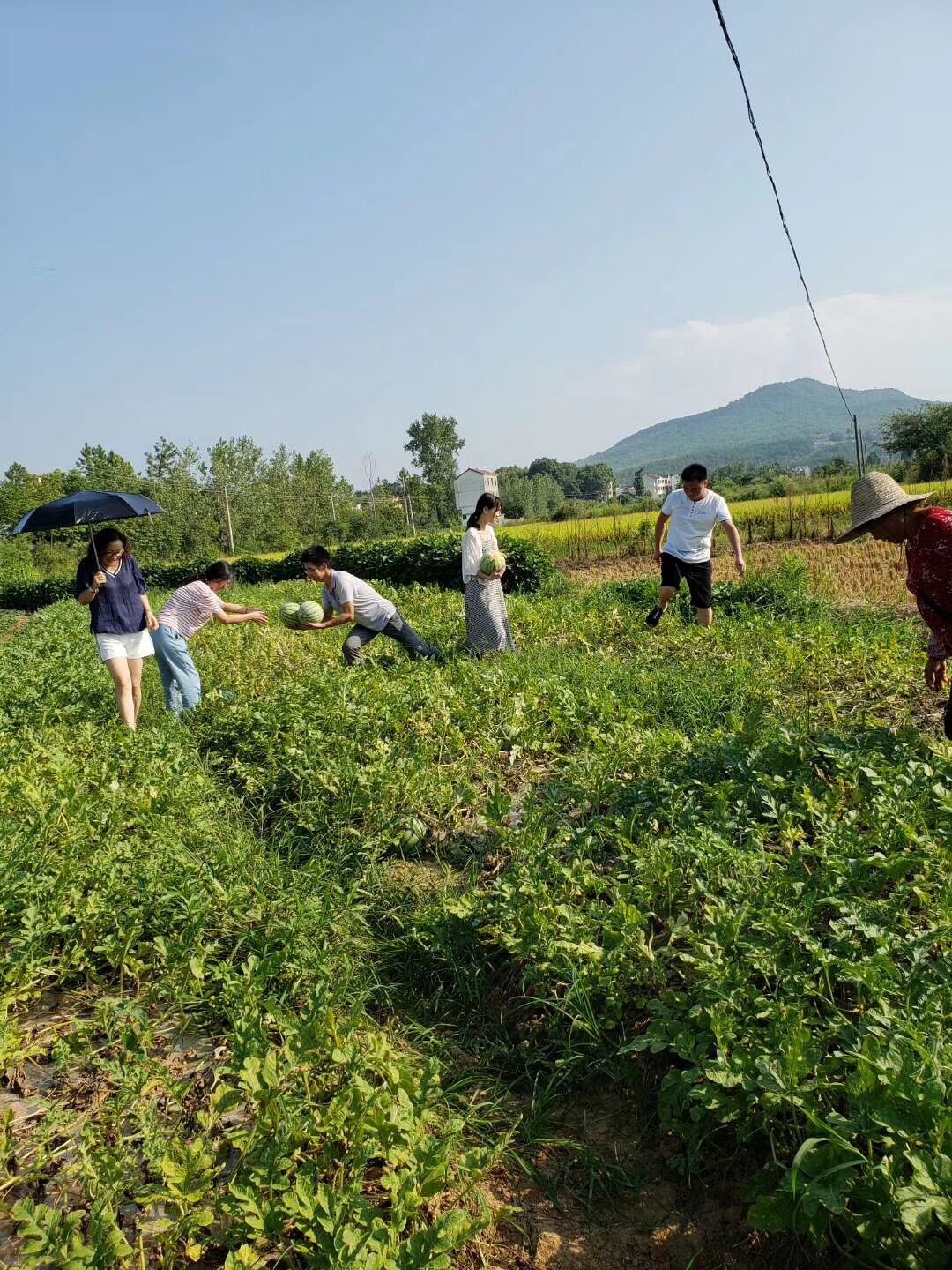 金光道環(huán)境建設集團有限公司