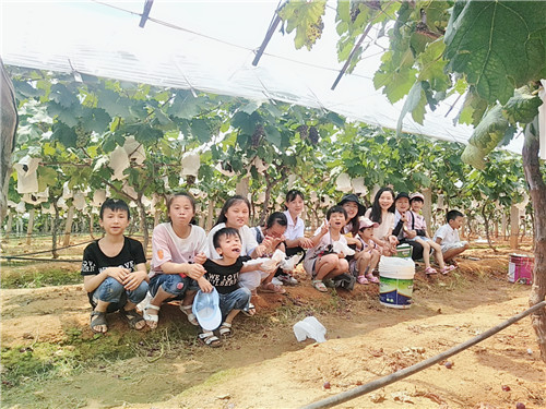 金光道環(huán)境建設集團有限公司